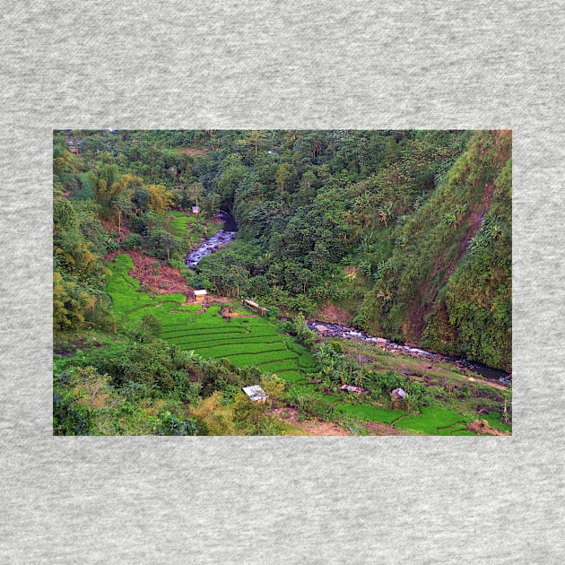 rice field in the valley by likbatonboot